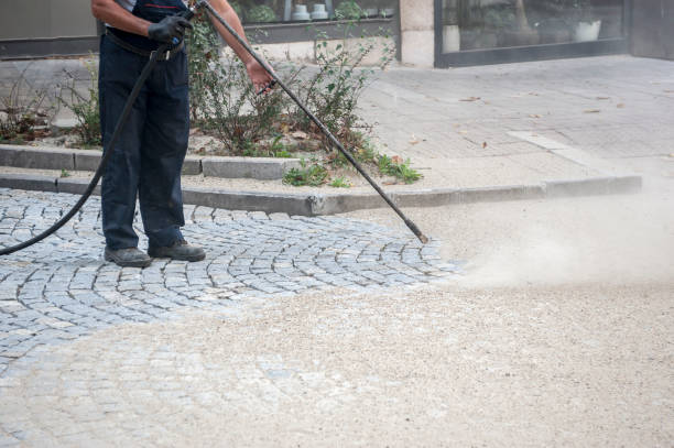 Best Dumpster Area Cleaning  in North River Shores, FL
